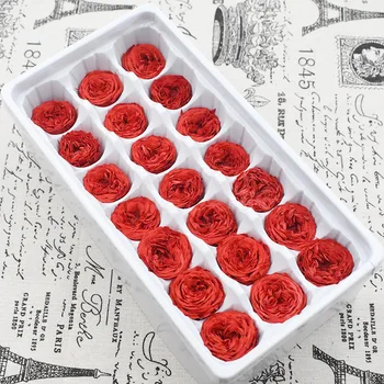 21PCs/Box Konzervirane Sveži Cvet Austin Rose Nesmrtni Pravi cvetov Rose V Polju Okraski Stranka Poroka Doma Dekor Razred A