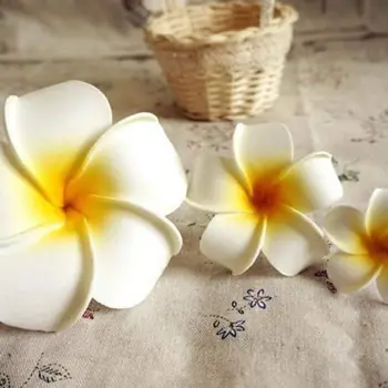 3 Kos Hawaiian Plumeria Cvet naglavni del Ostra Barrette Lase Posnetek Dodatek za maskiranje za poroko