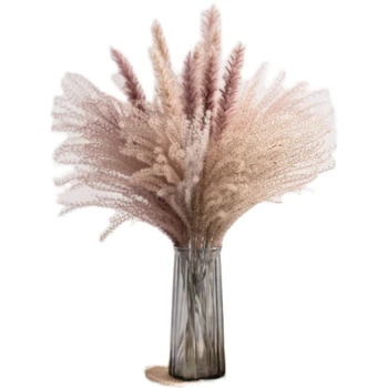 30Pcs Resnično Posušena Reed Cvetje Šopek Doma Poročno Dekoracijo Tabela Flores Naravnih Pampe Travo Dekor za Sobno Dekoracijo Doma