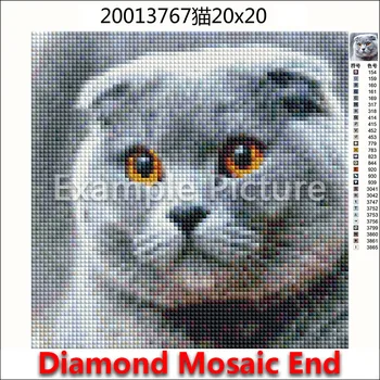 5D Celoten Kvadratni Diamond slikarstvo vezenje Navzkrižno šiv Živali pisane pes metulj maček 3D DIY Krog Vaja, Risanje mozaik 142