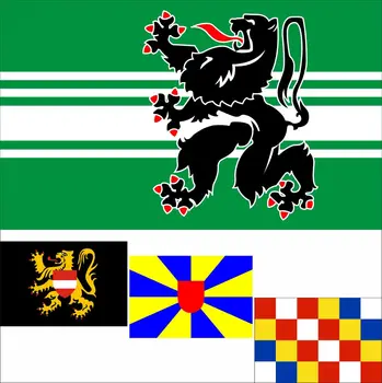 Belgija Provincah Zastavo 90X150CM 3X5FT Regiji Skupnosti Popolno Zbirko Vojaških Banner