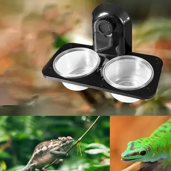 Dvoživke Vode, Hrane Napajalni Pot Plazilcev Pajek Gecko Plemenskih Skledo Bazena Pitne Sklede Pet Napajalni Dodatki