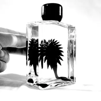 Ferrofluid Magnetne Tekočine, Tekočine Prikaz Smešno Anti Stres Relief Igrače GXMB