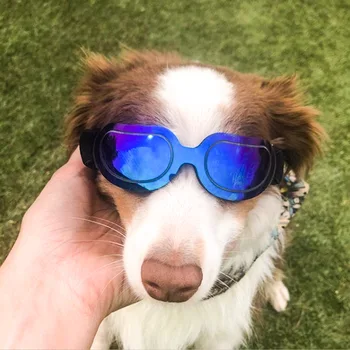Hišni Pes sončna Očala z UV Zaščito zaščitna Očala, Očala Foto Rekviziti Hišne Potrebščine Mačka Očala