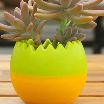 Jajce Oblikovan Pisane Mini Sočna Kaktus Plastični Cvet Pot Krog HFing