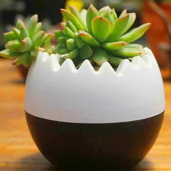 Jajce Oblikovan Pisane Mini Sočna Kaktus Plastični Cvet Pot Krog HFing