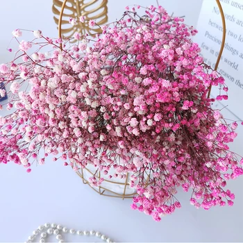Naravno Suha Gypsophile Sveže Vedno Babysbreath Posušene Konzervirane Cvetje Za DIY Večni Cvet Materiala Poroko Rastlinski Material