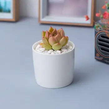 Novi Klasični Slog, ki je Doma Namizje Majhni Cvetlični Lončki za 6,5 cm Premer Bela Keramični Lončki za Mini Valjaste Cvet Planter