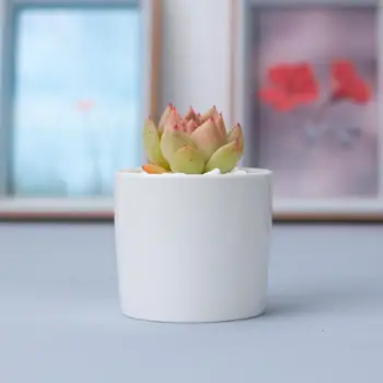 Novi Klasični Slog, ki je Doma Namizje Majhni Cvetlični Lončki za 6,5 cm Premer Bela Keramični Lončki za Mini Valjaste Cvet Planter