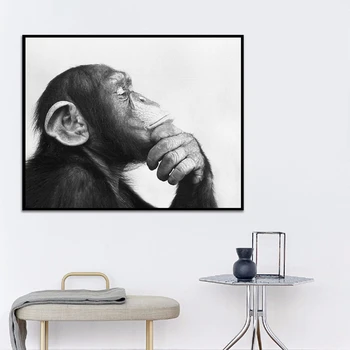 Opica Črno-Belo Fotografijo, Plakat, Tiskanje Doma Wall Decor Art Platno Slikarstvo Nordijska Živali Slike Dnevna Soba Dekoracijo