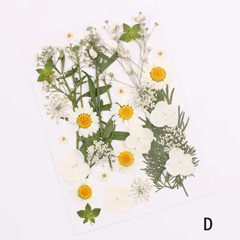 Pritisnete Cvet Mešani Organske Suhe Rože DIY Umetnosti Cvetlični Decors Zbirka Darilo INTE99