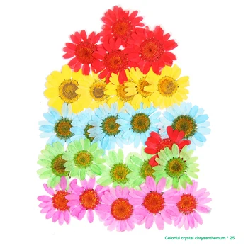 Pritisnete Cvet Mešanih Suhih Rož DIY Umetnosti Cvetlični Decors Zbirka Darilo Obrti DIY TN88