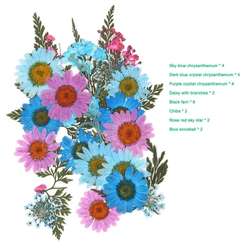 Pritisnete Cvet Mešanih Suhih Rož DIY Umetnosti Cvetlični Decors Zbirka Darilo Obrti DIY TN88