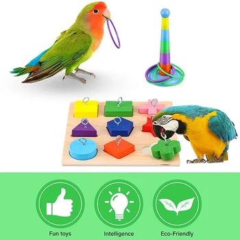 Ptica Usposabljanje Igrače Papiga Inteligence Igrača Papiga Lesenim Uganke Igrača Zlaganje Obroči Igrača