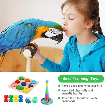 Ptica Usposabljanje Igrače Papiga Inteligence Igrača Papiga Lesenim Uganke Igrača Zlaganje Obroči Igrača