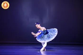 Roza Modra Klasične Tutu Ženske Strokovno Balet Krožnik Trnuljčica Balet Fazi Kostum Tutu Dekleta