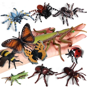 Simulacija Insektov Model Okraski Realne Hrošč Metulj Pajek Otroke, Izobraževalne Rekviziti Scene Dekoracijo Otroci Igrače