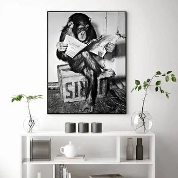 Smešno Opica Prebrati Časopis Plakat in Tiskanje Črno-Bel Slikarstvo Umivalnici, Wc Dekor Živali Wall Art Plakat Sliko
