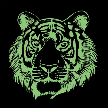 Tiger glavo Obliži za Oblačila Svetlobna Značko prenos Toplote tiskanje Noctilucent Obliž Oblačila Fluorescence Nalepke Darila