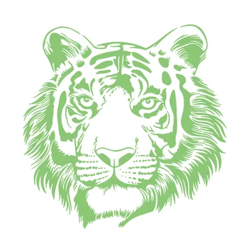 Tiger glavo Obliži za Oblačila Svetlobna Značko prenos Toplote tiskanje Noctilucent Obliž Oblačila Fluorescence Nalepke Darila