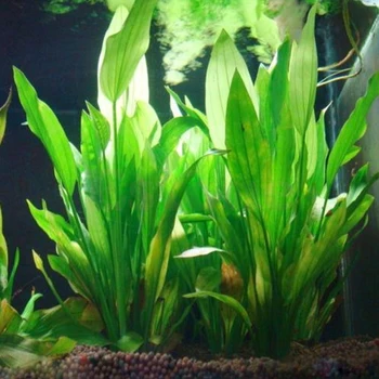 Umetnih Plastičnih Vroče Vode, Rastlin, Trave Akvarij Okraski Rastline Fish Tank Travo Cvetlični Ornament Dekor Vodnih Dodatki