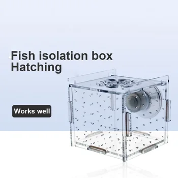 Ustvarjalne Fish Tank Pregleden Akvarij Majhen Zalege Inkubator Plemenskih Polje Eno Dvojno Multi Mrežo Izolacije Polje Ribe Hiša Dom