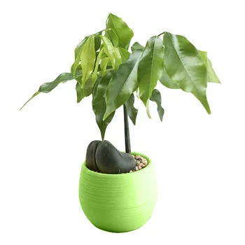 Ustvarjalne Okolju prijazno Pisane Mini Krog Plastični Rastlin Cvetlični Vrt Pot Domov Office Dekor Planter Mini Vaza Vrt