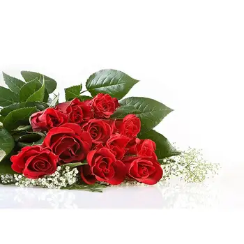 Valentinovo cel kup rdeče vrtnice romantično ozadje predloga priznanja, fotografije življenje fotografija ozadje