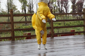 Velik Pes Nepremočljiv dežni Plašč Poliester Varnostni Odsevni Trak Rain Jakna za Zlati Prinašalec Labrador Husky 8XL-12XL