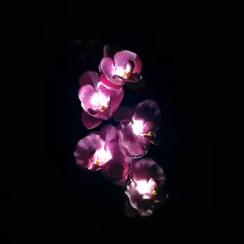 Vrt Sončne Luči na Prostem Nepremočljiva 5 Glavo Sončne LED Dekorativna Zunanji Travnik Lučka 5 Glavo Sončne Metulj Orhideja