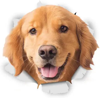 Winston & Bear 3D Pes Nalepke - - Srečni Zlati Prinašalec Nalepke za Steno - Hladilnik - Wc - Prostor - trgovina na Drobno Pakirano