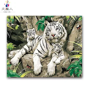 Živali Tiger Oljna slika Paket Diy Digitalni Oljne Barve z Številkami, z Kompleti za Odrasle, Otroci Platno Enem Kosu Evrope 50x40 60x50